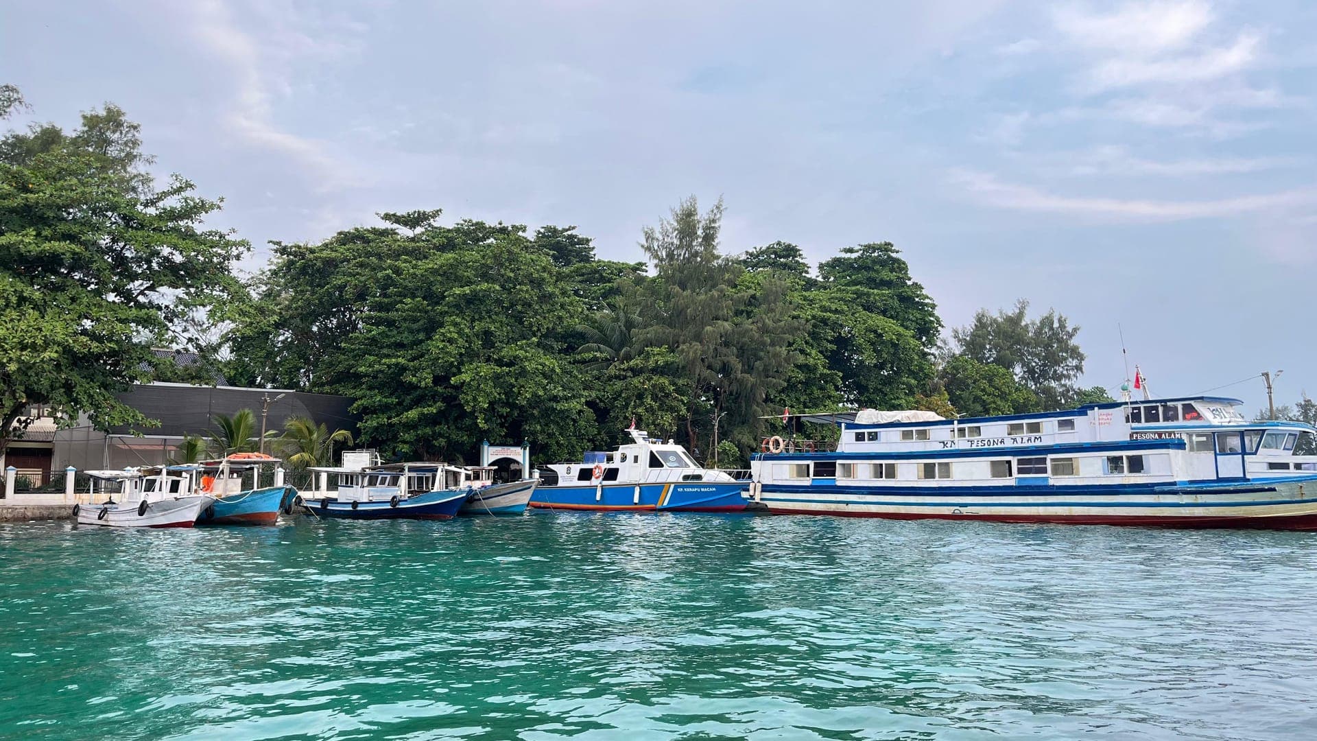 Terumbu karang Kepulauan Seribu